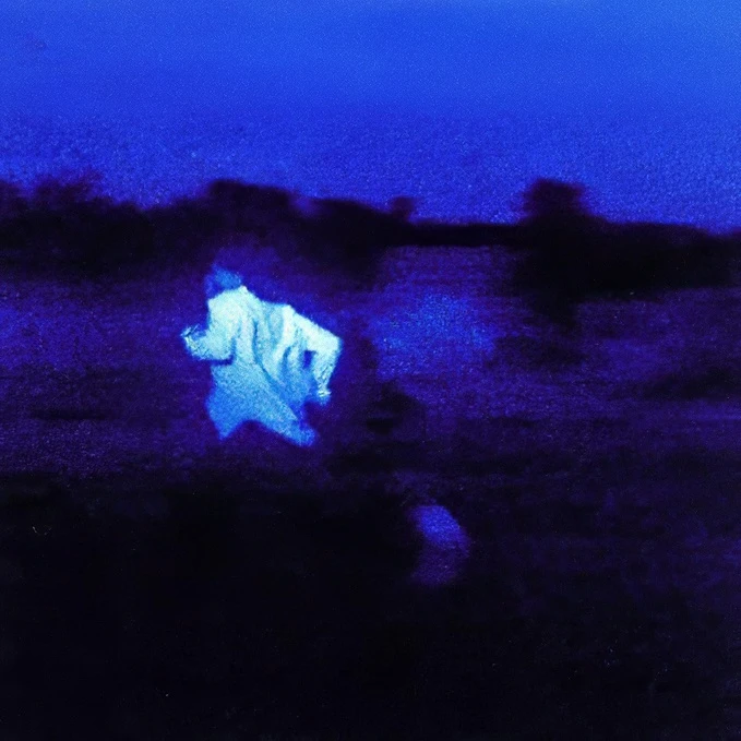Example made with Image Denoise